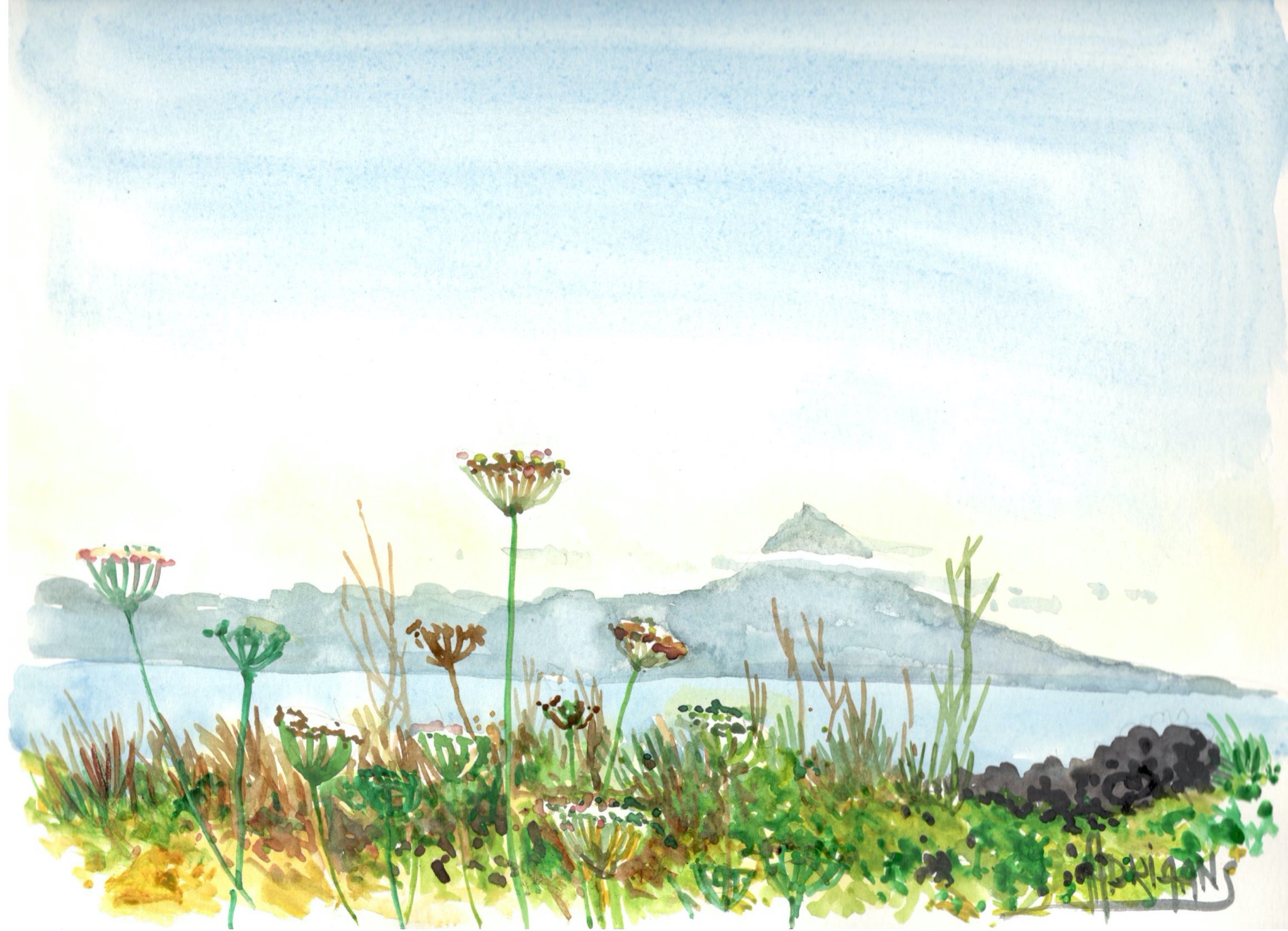 Watercolour I made on one of my morning walks in Manadas. 