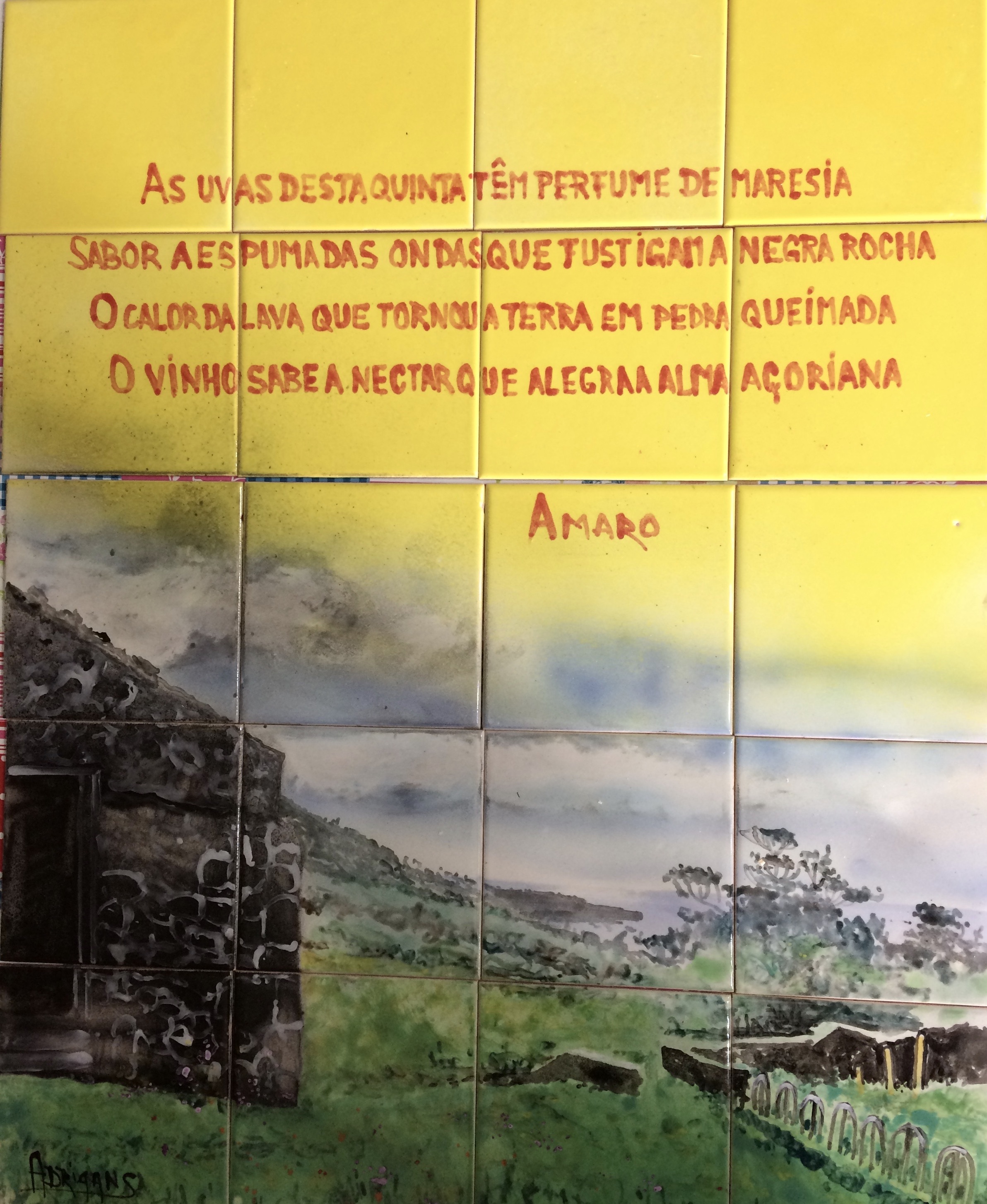 View of the adega of Sr. Amaro