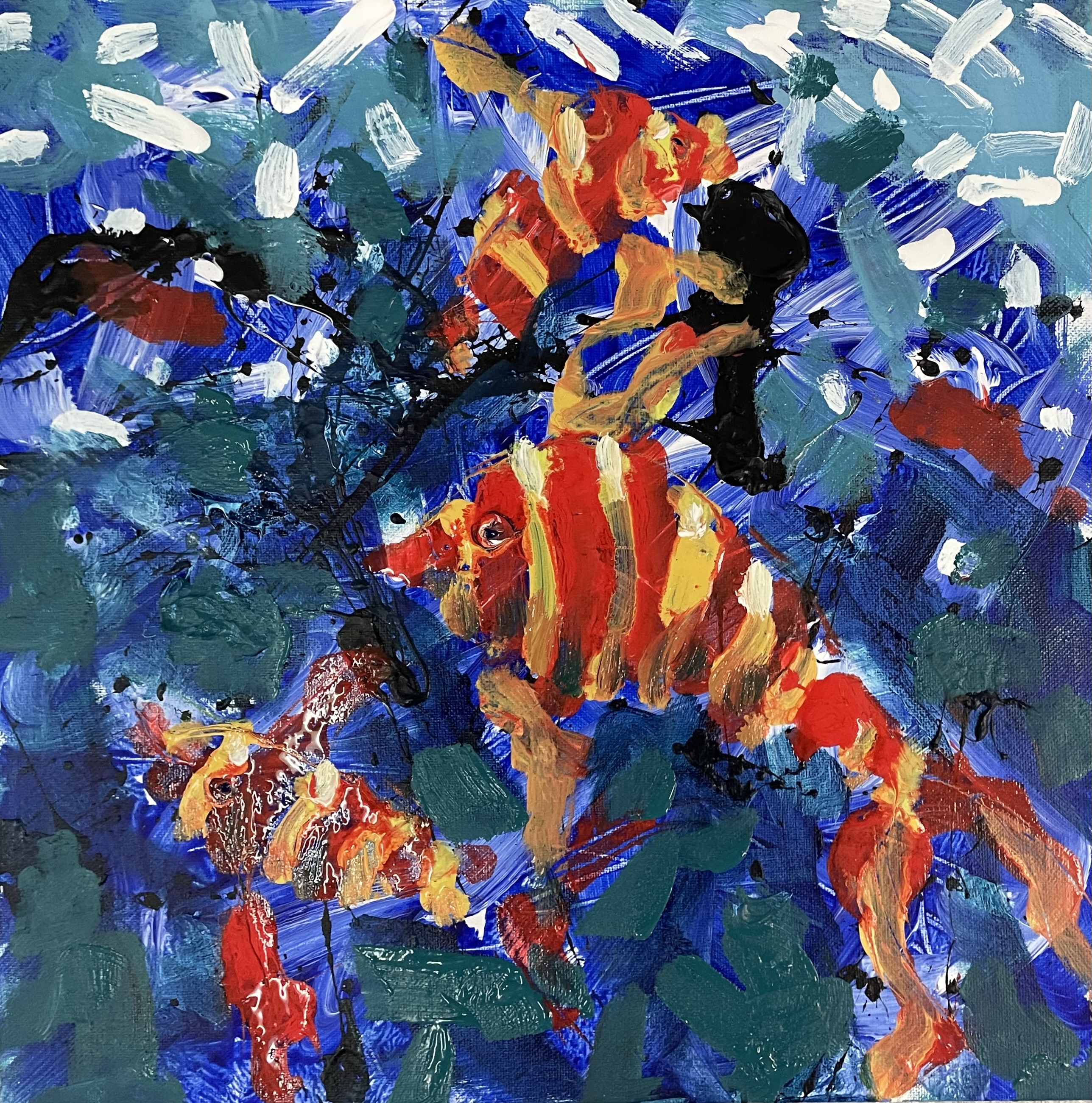Poissons solubles