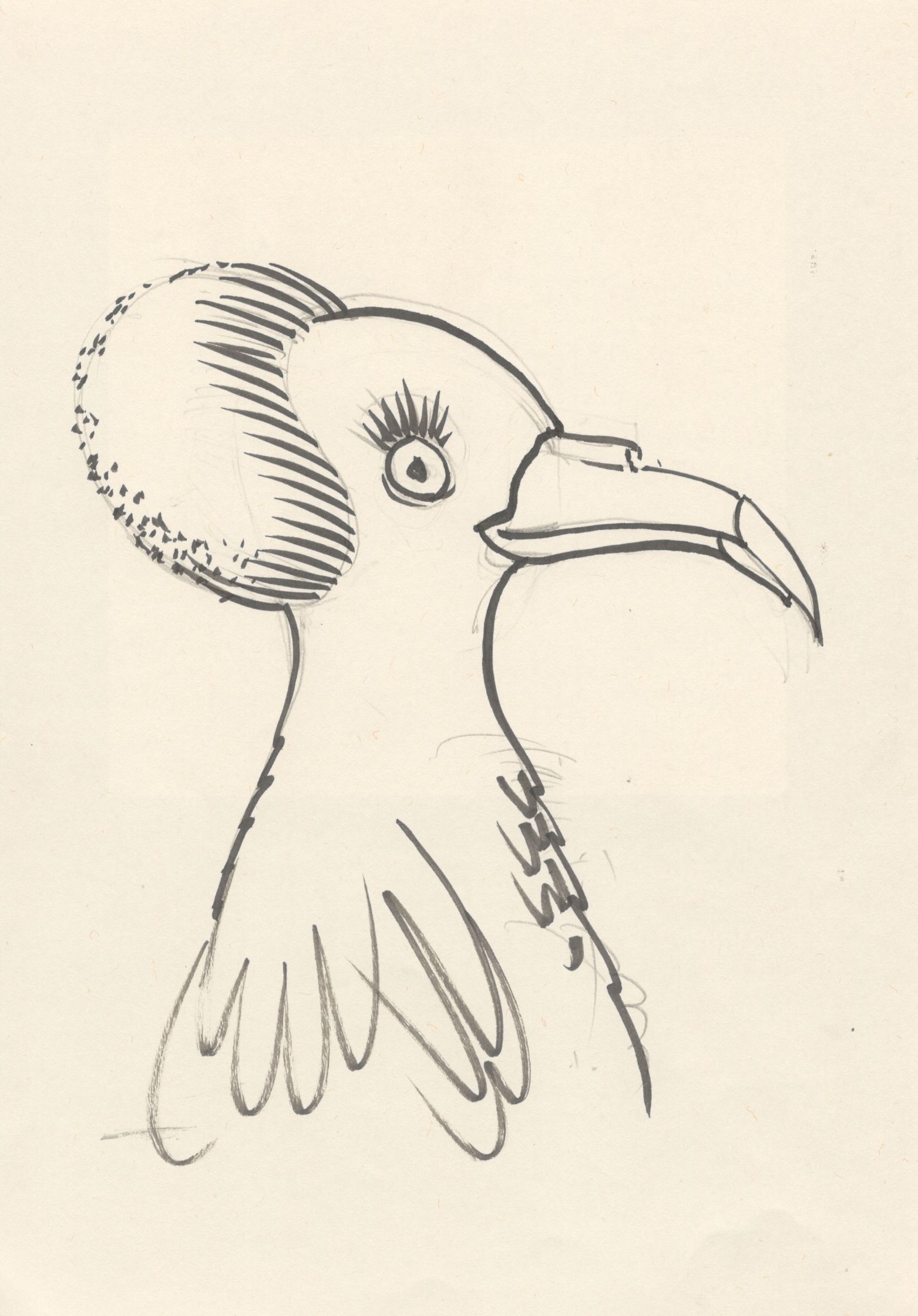 Cagarro Rapariga