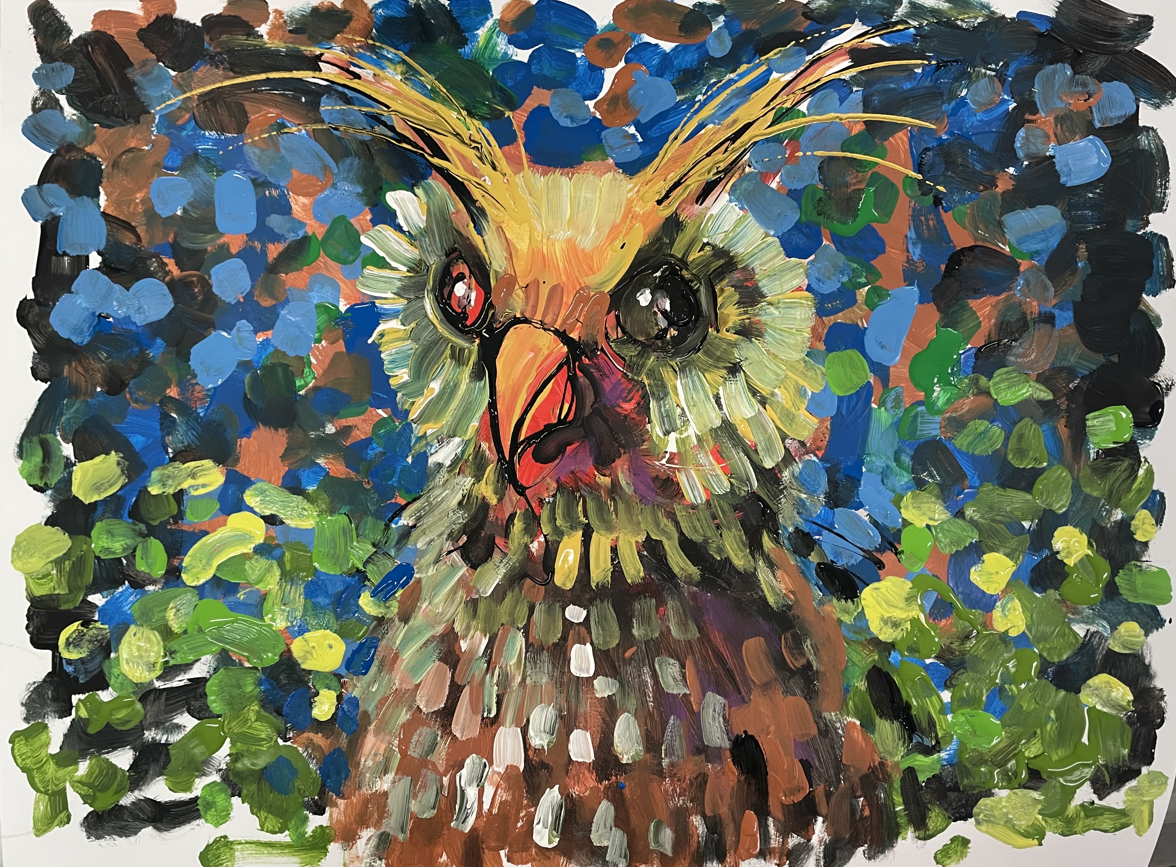 Owl