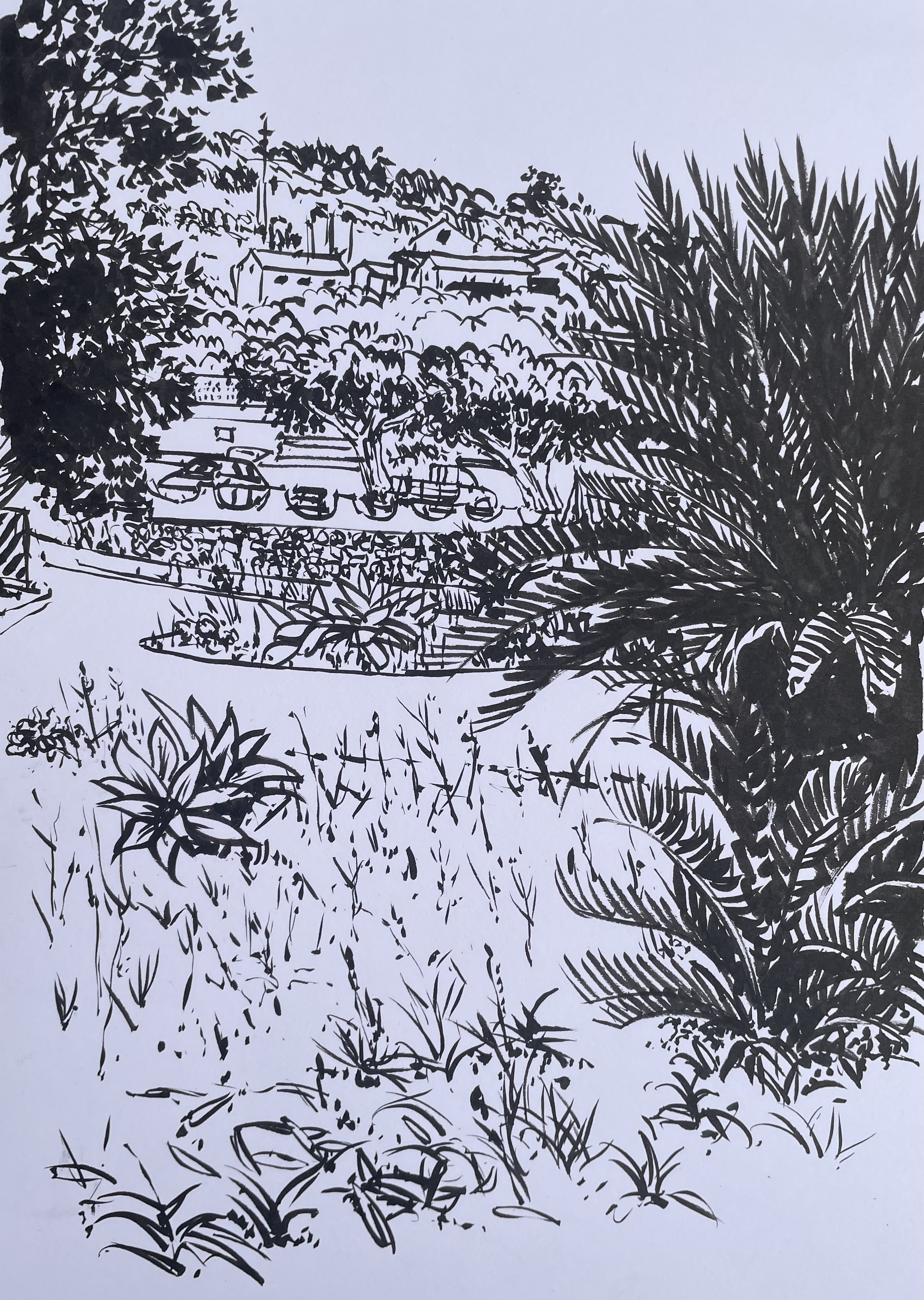 Park in Lajes das Flores 