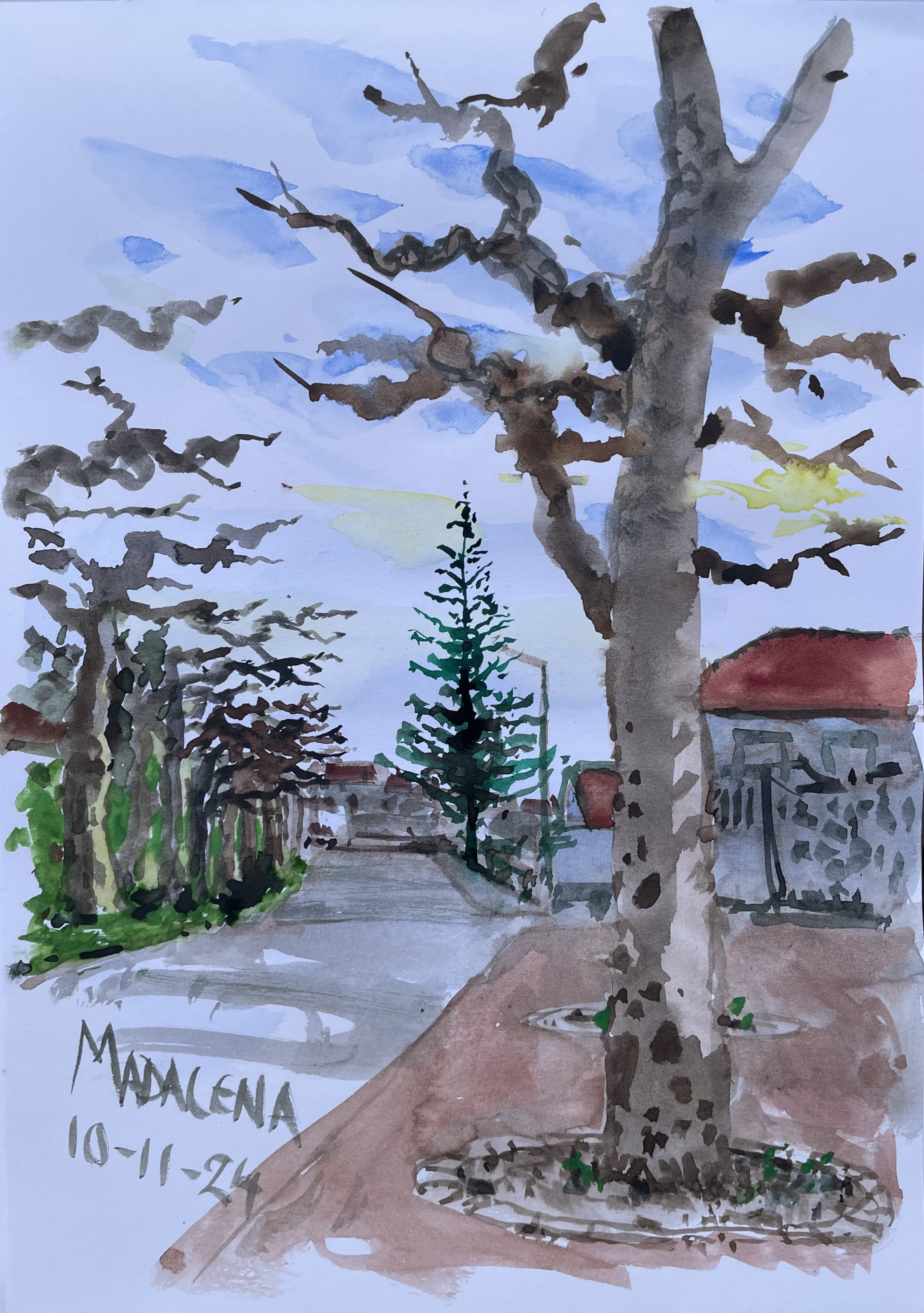 Morning in Madelena