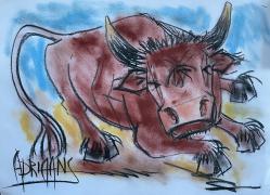 Study of a bull
