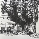 Sketching in Horte 