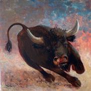 Study of attacking bull 