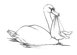 Swan bringing a child