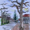Morning in Madelena